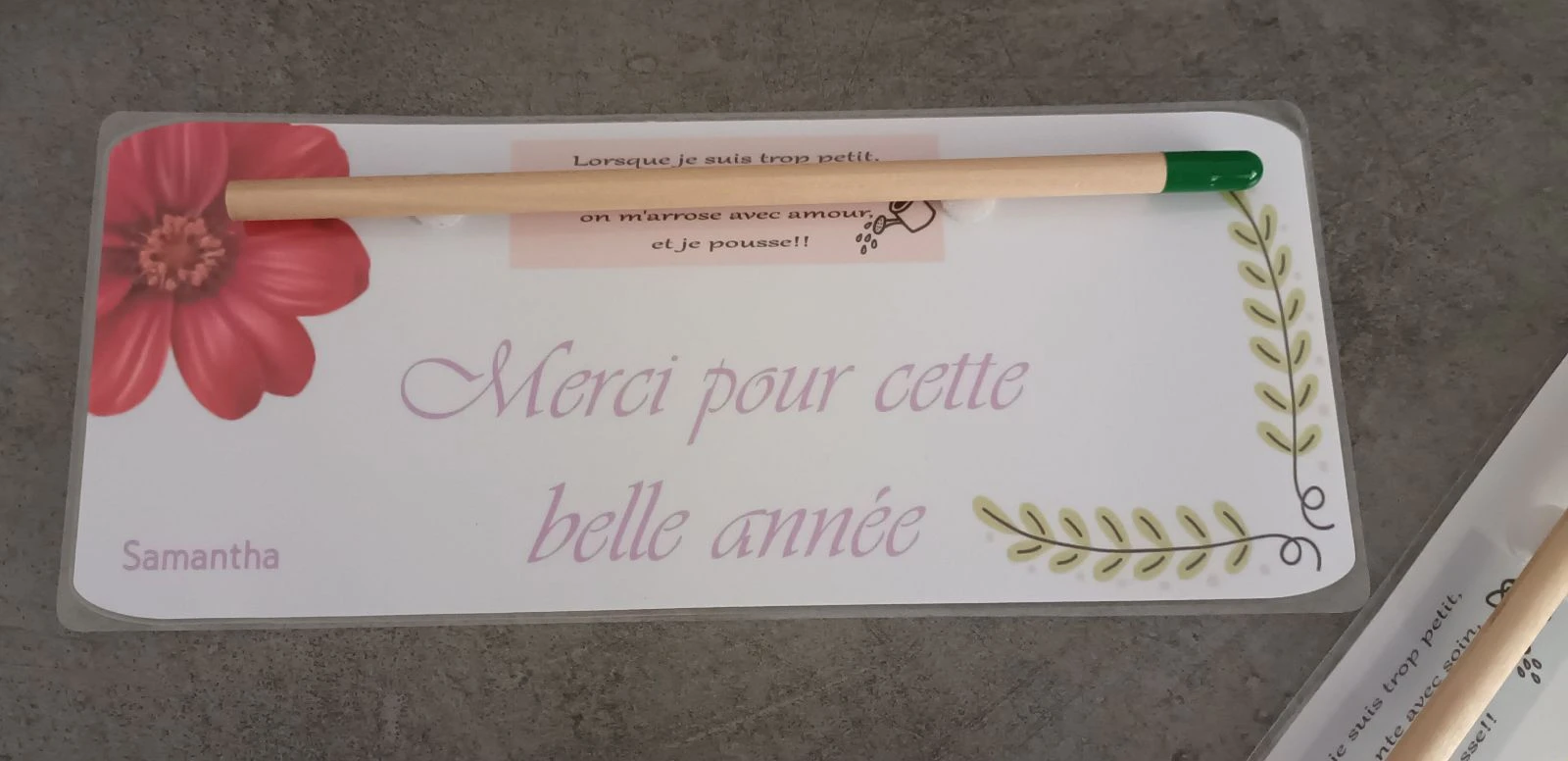 Carte crayon à planter 
